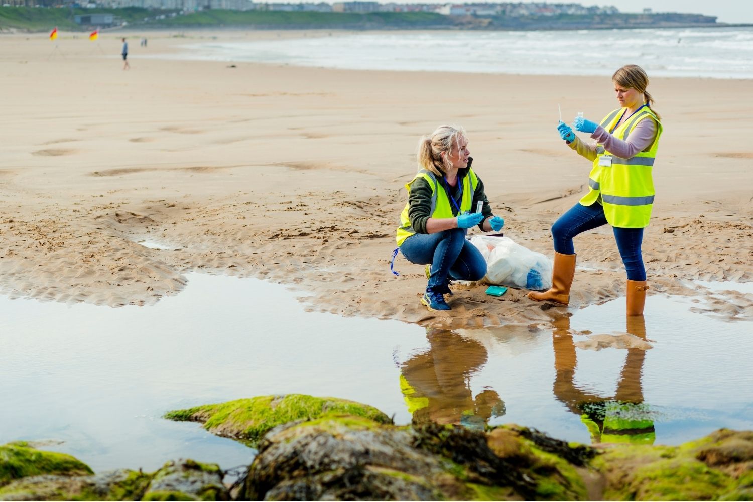 environmental assessment