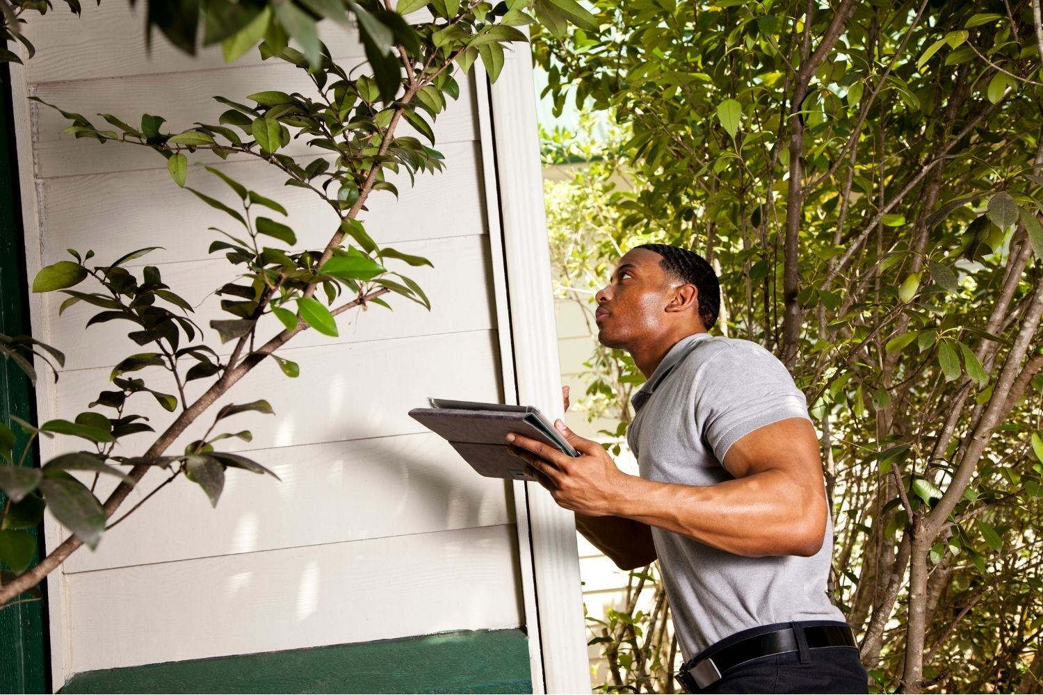 site compliance